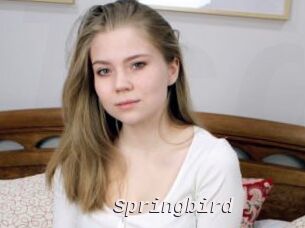 Springbird