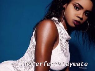 ThePerfectPlaymate
