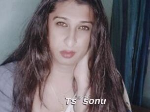 Ts_sonu