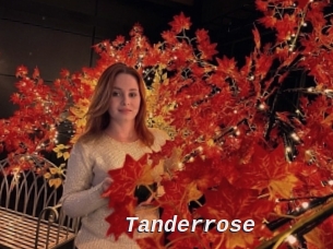 Tanderrose