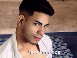 Terrybounce