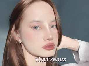 Thaivenus