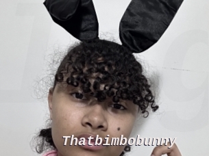 Thatbimbobunny