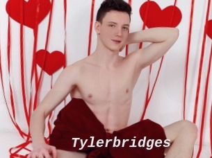 Tylerbridges