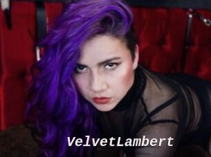 VelvetLambert