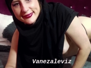 Vanezaleviz