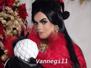 Vannegill