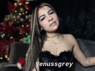 Venussgrey