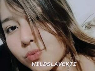 WILDSLAVEKTI