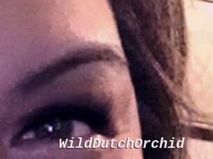 WildDutchOrchid