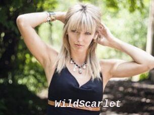 WildScarlet