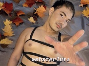 Websterluta