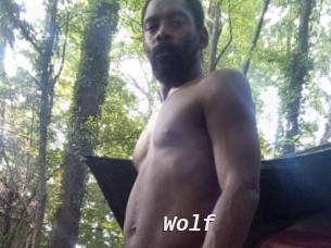 Wolf