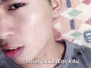 YoungWildCock4u