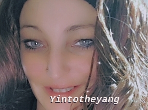 Yintotheyang