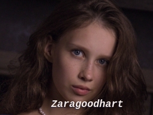 Zaragoodhart