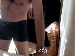 Zig